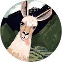 Ana Laura P. profile picture